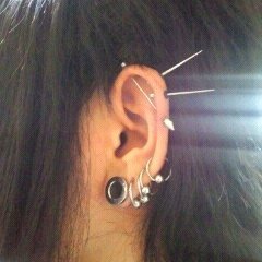 oo_naooo's profile picture. 釣りしたりゾイド作ったり、野菜と魚育ててたまにドラム叩いたりバイクいじったりしながらインコと喋る生活。