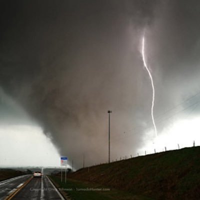 elzacias's profile picture. Freelance Gynecologist.  Just your average everyday gorilla throwing shit out of my cage.