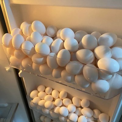 egg_fridge_ Profile Picture