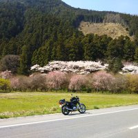 つりたび人 (@turitabi12go) 's Twitter Profile Photo つりたび人 (@turitabi12go) 's Twitter Profile Photo