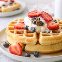 wafflingzebra (@wafflingzebra) 's Twitter Profile