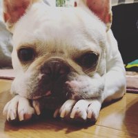 Bon1981 (@hirobon1981) Twitter profile photo
