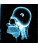 Adrian Williamson - @akwinoz - Twitter