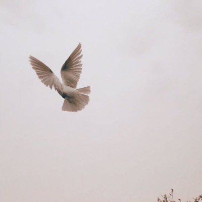 weqsmn's profile picture. 