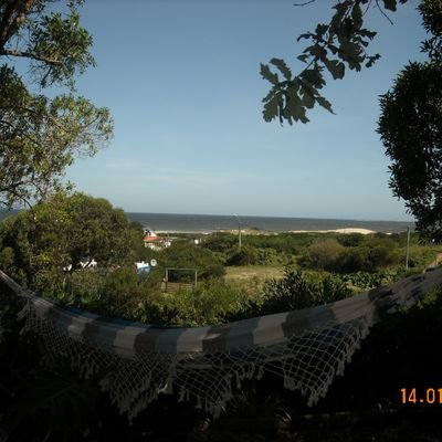 sorgo50's profile picture. 