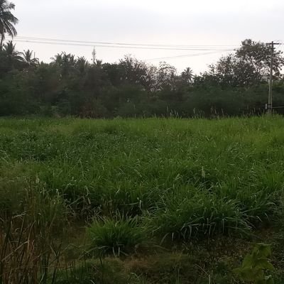 Gopi84707895's profile picture. onnnum illllla