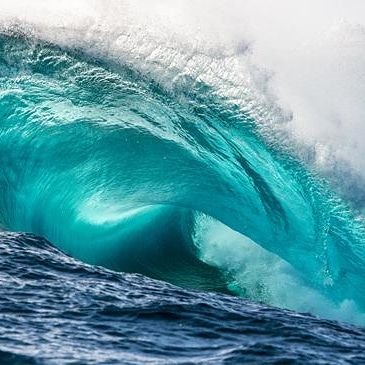 SeaSystem2's profile picture. D.I.D system of 100+