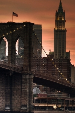 LU_ISMS13's profile picture. 