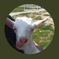 no text söke (@textsoke) 's Twitter Profile