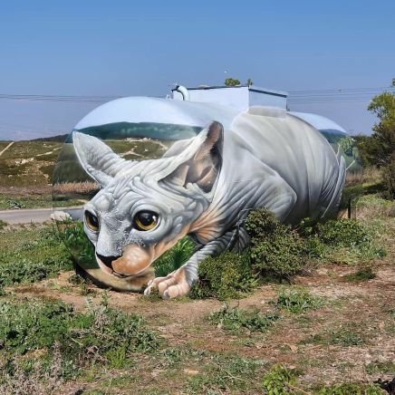 TechimanRovers's profile picture. Happy Rovers. the pride of Techiman.