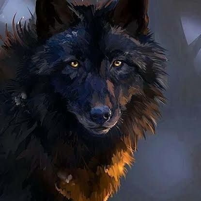 crypto_wolf_ Profile Picture