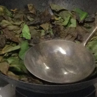 snowballorr's profile picture. 