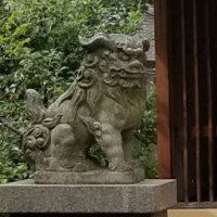 豊崎の犬 (@pxlcsrwocsfi9lh) 's Twitter Profile