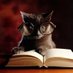 Not Your Typical Librarian (@hemademelaugh) Twitter profile photo Not Your Typical Librarian (@hemademelaugh) Twitter profile photo