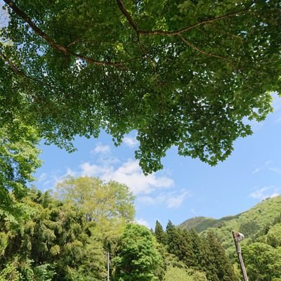 富士山のふもと #山梨県 #大月市 の自然渓流の管理釣り場 #奈良子釣りセンター です！
新宿からわずか80km！特急で1時間で
360°大自然パノラマの中、感動するほどジンクリアな清流で初心者でも手ぶらで本格的な　＃渓流釣り体験　＃バーベキュー　＃手ぶら  で楽しめます