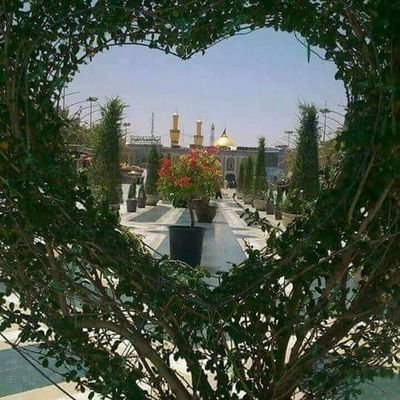 syg3ND15jwpSZOz's profile picture. 