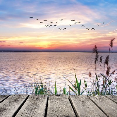 butterstoneyogi's profile picture. An advocate for ALL life on earth 🌏 💕