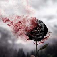 𝔽𝔸ℍ𝔸𝔻 𝔸𝕃 𝕄𝔸ℕ𝕊𝕆𝕌ℝ𝕀 (@27f_b) Twitter profile photo