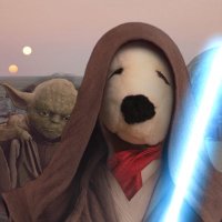 🦋 Jedi Snoopy 🦋(@JediSnoopy) 's Twitter Profile Photo