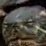 Le_turtさんのプロフィール画像