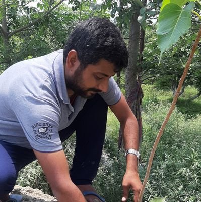 AmitRan83136866's profile picture. a m