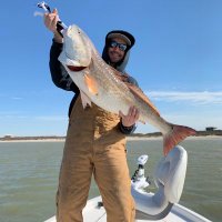 Kyle Green (@kyle_green6) 's Twitter Profile