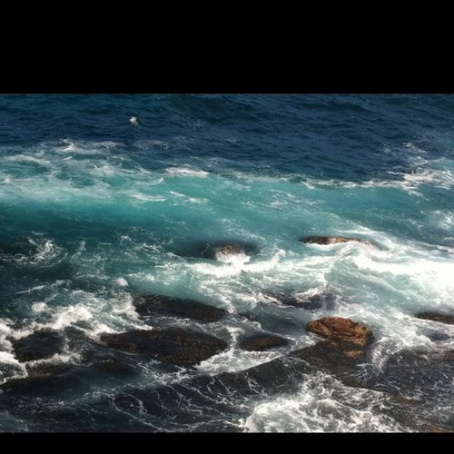 nmabra's profile picture. 