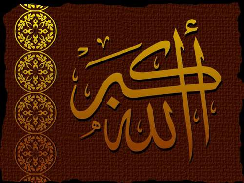 diaa678's profile picture. 