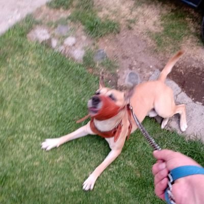 EL VIEJO CAGADO  DE PALACIO HACE QUE SE ME ENGROSE