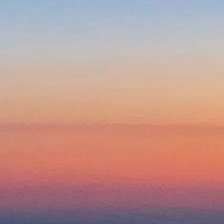 本田桃子 Nshk3616 Twitter