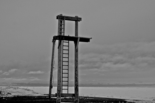 Col_leccionista's profile picture. Bar Musical. Hi fem concerts, musiqueta i bon rotllo en general.