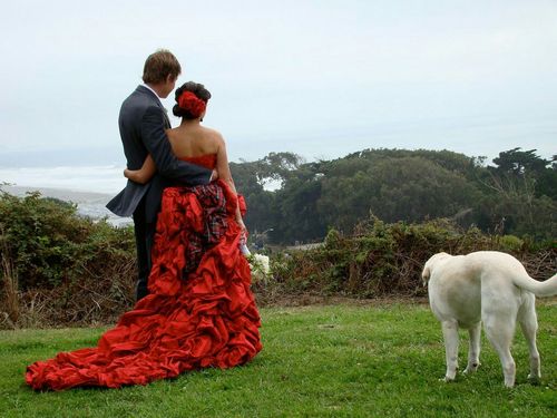 caristinycircus's profile picture. San Francisco's dogwalking dancer.