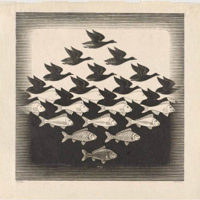 rhsn1507's profile picture. Ipsum Lorem