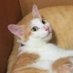 Aldebaran (@jerrk3) Twitter profile photo Aldebaran (@jerrk3) Twitter profile photo
