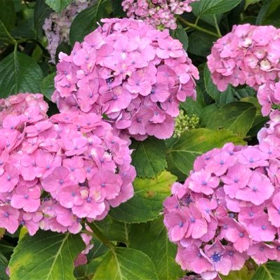 t_k2424's profile picture. .ENDRECHERI. Epunpunther🤘堂本剛さんLove💜💙人間失格でお茶の間ファンから始まり歌声に魅了された50代☺️沼には頭まで入ってます仕事と家庭の合間にLive等に参戦🎶