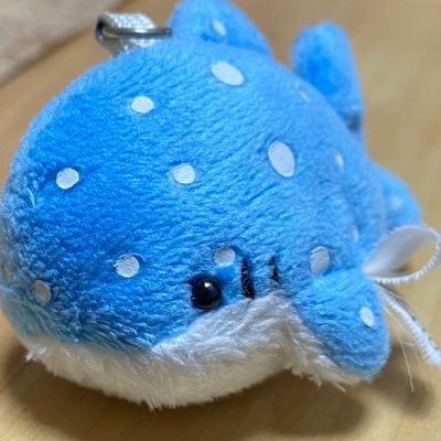 naporinrin's profile picture. 手術後リハビリ大事⁂🏀キングス👑箱推しとアルバルクのお茶目なルーク🐻アジアカップ終わってから吉井選手✨八村塁選手✨⁂マラソン→水泳 ウォーク 家庭菜園 🎹睡眠💤🧦履けるように昔を取り戻そう💪