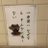 さみねのアイコン
