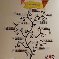 OPM-incorporating stroke, ABI & reablement (@opmmucd) 's Twitter Profile