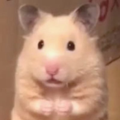 เธออย่าวีน 🫵😾 | 20↑ | @bts_twt | 🦔🐈‍⬛ |010624 ᓀ ᵥ ᓂ