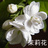 jasmine_news's profile image