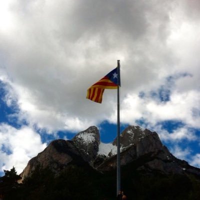 Enginyer Químic - Ciutadà de la República Catalana