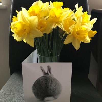 NurtureTime's profile picture. Holistic Talking Treatment