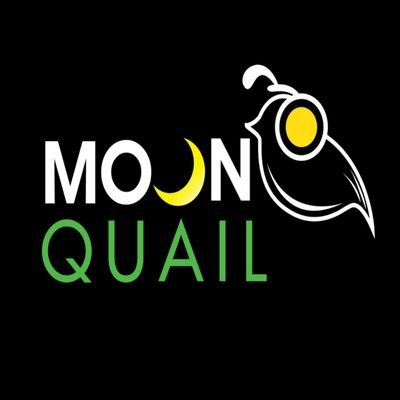 QuailYt's profile picture. Gamer , Youtuber