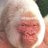 MisterSimian's avatar