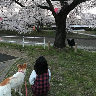 ゆか