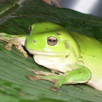 Little Bella Nature Refuge (@littlebellanr) 's Twitter Profile