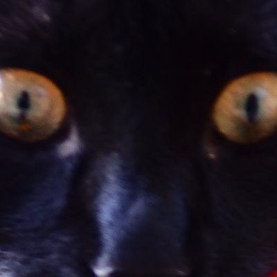 tver100's profile picture. 