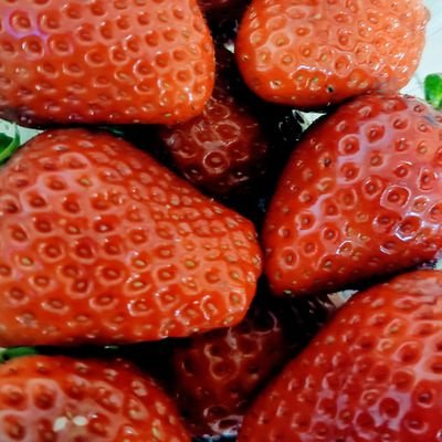 美容について勉強中。情報収集と自分の買い物記録用。タイサプリ・iHerb・韓国コスメ・漢方・ハーブ・世界の石鹸を欲望のままに収集中。最近は植物ブーム。