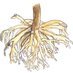 Frederike Klimm (@kelp_action) Twitter profile photo Frederike Klimm (@kelp_action) Twitter profile photo