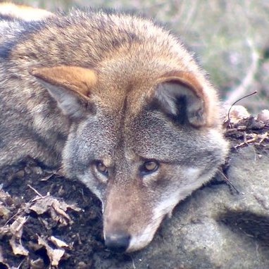 mantopay's profile picture. 